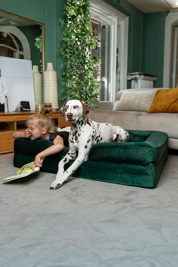 NOAH & PAW XL Dog Bed, 45x35x11 Inch, Orthopedic Large Dog Beds, Eggshell Memory Foam Infused with Cooling Gel, Inner Cover, Water Resistant, Machine Washable (Velvet Sofa Collection) - Image 2
