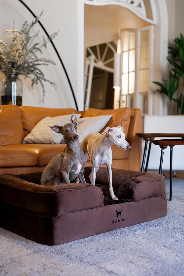 NOAH & PAW Large Dog Bed, 35x25x11 Inch, Orthopedic Dog Beds, Eggshell Memory Foam Infused with Cooling Gel, Inner Cover, Water Resistant, Machine Washable (Velvet Sofa Collection) - Image 3