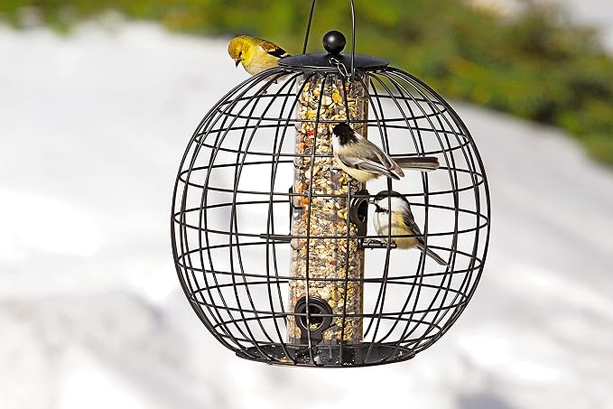 Gardener's Supply Company Globe Cage Bird Feeder | Outdoor Sturdy and Squirrel Proof Hanging Cage | Best for Finches Hummingbirds Nuthatches and Other Small Birds - Holds 3 Cups of Seeds - Image 8