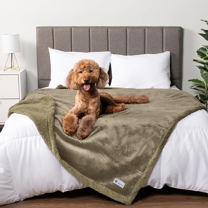 PetAmi Waterproof Dog Blanket for Couch, Queen 90x90, Pee Proof Sherpa Fleece Reversible Pet Throw, Furniture Protector for Bed Sofa, Soft Washable Cover for Large Dogs Cats, Taupe Sherpa by PetAmi