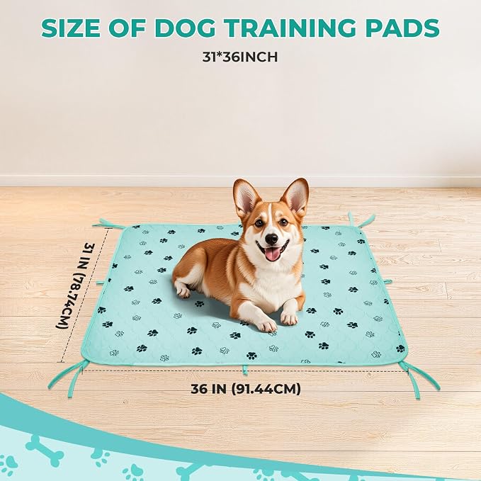 Fostanfly Washable Dog Pee Pads, Ultra-Absorbent, 31"x36"-2 Pack, Green | Leak-Proof, Waterproof, Non-Slip, Large Reusable Pee Pads for Puppy Potty Training, Crate and Playpen with 8 Tie Straps - Image 2