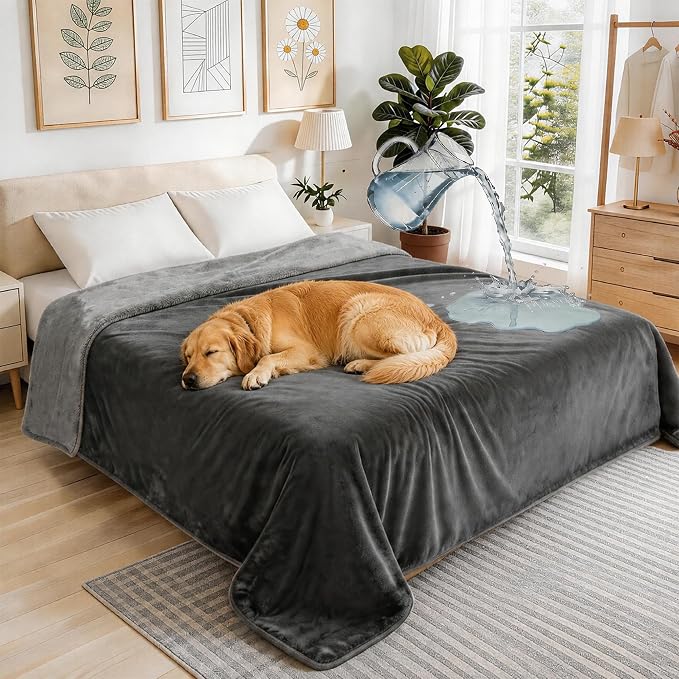 JUIN Waterproof Dog Blanket for Bed: Queen Size Water Proof Blanket, Gray | 100% Waterproof, Soft Double-Sided Flannel, Queen Size 90" x 90", Pet & Bed Protection, Machine Washable by JUIN