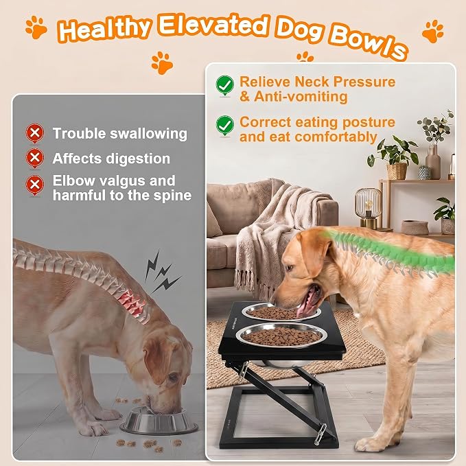 Elevated Dog Bowl, Adjustable Height and Tilt Angle Dog Bowl Stand | Precisely Adjust Height And Tilt Angle, Easy To Clean, Equipped With 2 Stainless Steel Food Bowls, Sturdy And Durable. - Image 3