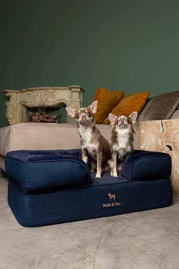 NOAH & PAW Dog Bed, 28x23x11 Inch, Orthopedic Dog Beds for Medium Size Pets, Eggshell Memory Foam Infused with Cooling Gel, Inner Cover, Water Resistant, Machine Washable (Denim Sofa Collection) - Image 2