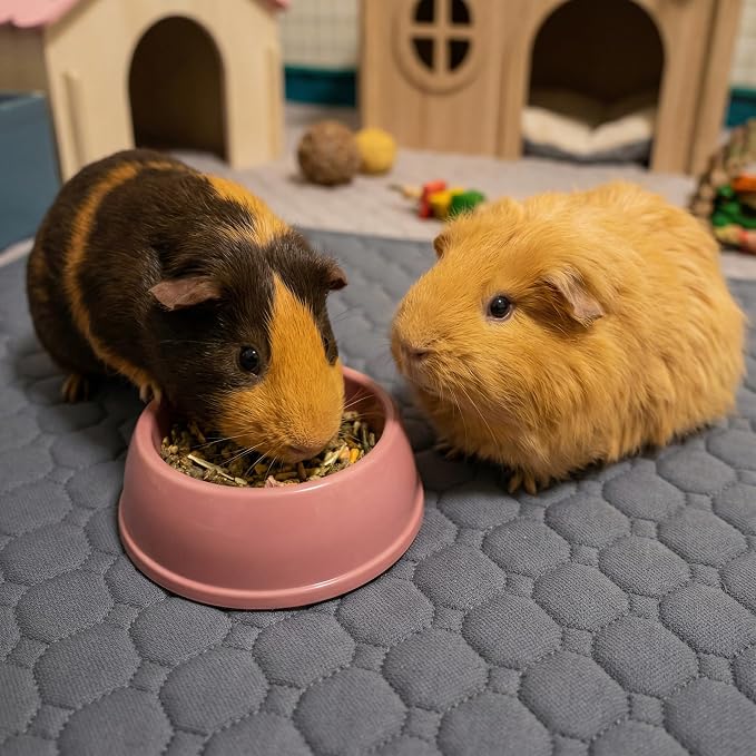 Guinea Pig Cage Liners, 49"X24" Washable Guinea Pig Bedding for Midwest Cage 4 Pack, Reusable & Anti Slip & Waterproof, Absorbent Guinea Pig Pee Pad for Small Animal, Rabbit, Bunny, Chinchilla - Image 5