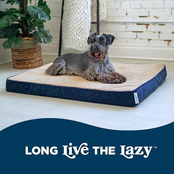Petmate La-Z-Boy Bentley Orthopedic Foam Large Dog Bed Midnight Blue (36 x 28 x 3 inches) for Dogs up to 50lbs with Supportive Foam Durable Removable Washable Cover - Image 2