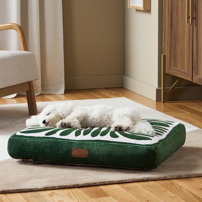 Town & Country Luxe CuddleTown Matisse Everwash® Pillow Pet Bed, Water Repellent Floor Pillow, Machine Washable Cover, Soft & Calming, Green, Small 28"x22"x4" - Image 4
