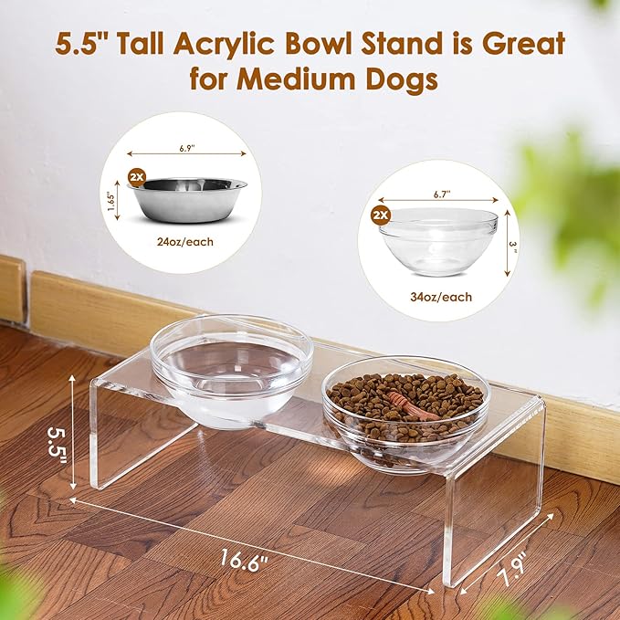 Acrylic Elevated Dog Cat Bowls Pet Feeder Double Bowl Raised Stand Comes with 2 Removable Glass Bowls and 2 Stainless Steel Bowls.Perfect for Medium Dogs, 5.5" Tall - Image 3