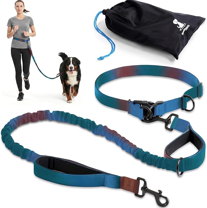 SparklyPets - Hands Free Dog Leash with Reflective Stitches - Waist Leash for Male Dog Walking, Hiking, Training, Jogging, Canicross, Running - Medium & Large Dogs, Gradient Blue by SparklyPets