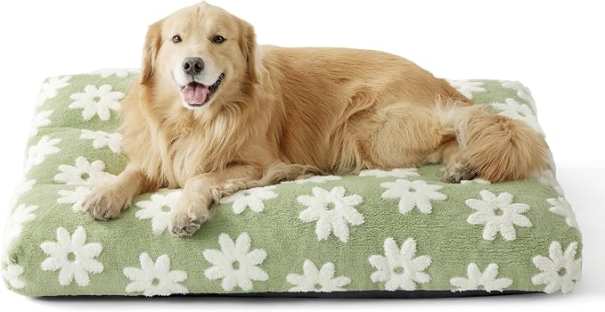 LE SURE Extra Large Dog Bed-Thick Shredded Chopped Foam Pet Bed Indoor with Removable Cover, Cute Modern Fuzzy Plush & Anti Slip Bottom, Green | Shredded Chopped Foam,Modern Plush Crate Cushion Gift for Extra Large Dog, Waterproof Washable Cover, Anti ... by Lesure