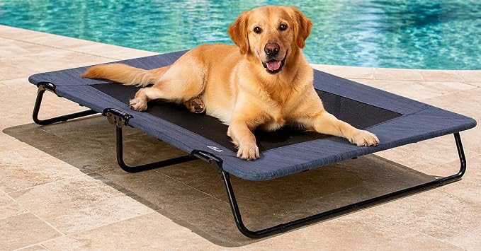 Pet Gear Lifestyle Pet Cot Elevated Bed, 50 Inch, Caribbean Ocean | No Assembly Required, Premium Tear Resistant Cooling Mesh, Indoor & Outdoor, Lightweight & Portable by PetGear