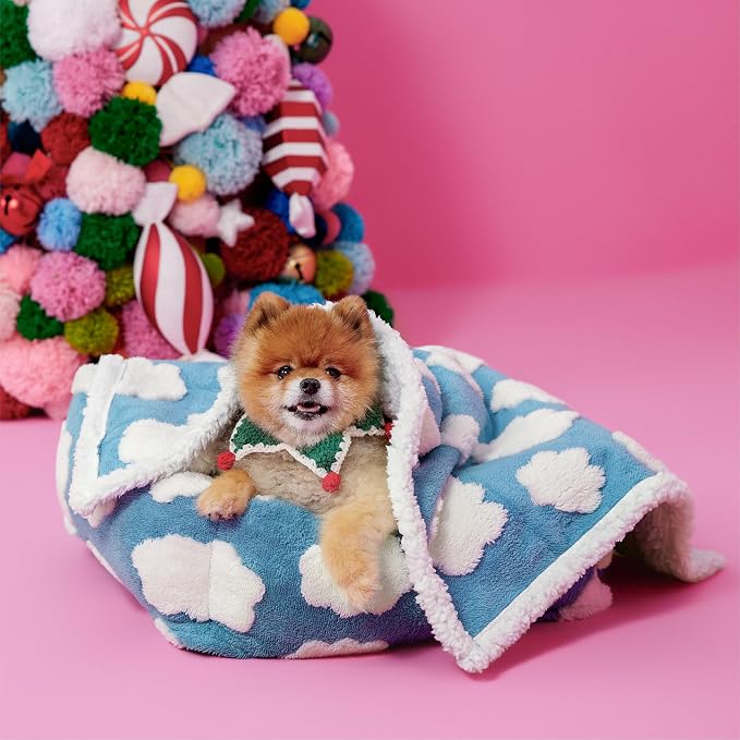 LE SURE Waterproof Dog Blankets for Small Dogs Cute Cozy 3D Jacquard,25x35 | Puppy Blanket for Cat Aesthetic Gift, Warm Soft Sherpa Throw Washable, Reversible Pet Couch Protector, Clouds Blue - Image 7