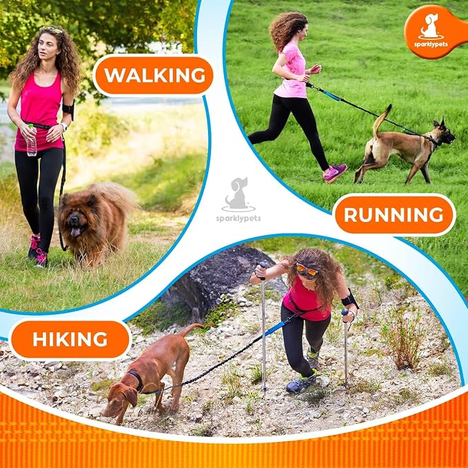 SparklyPets - Hands Free Dog Leash with Reflective Stitches - Waist Leash for Male Dog Walking, Hiking, Training, Jogging, Canicross, Running - Medium & Large Dogs, Gradient Blue - Image 4