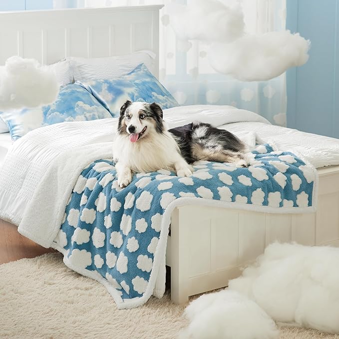 LE SURE Waterproof Dog Blankets for Large Dogs Cute Cozy 3D Jacquard,50x60 | Warm Soft Pet Blanket for Senior Dogs Aesthetic Gift, Washable Sherpa Throw, Reversible Couch Protector, Clouds Blue by Lesure