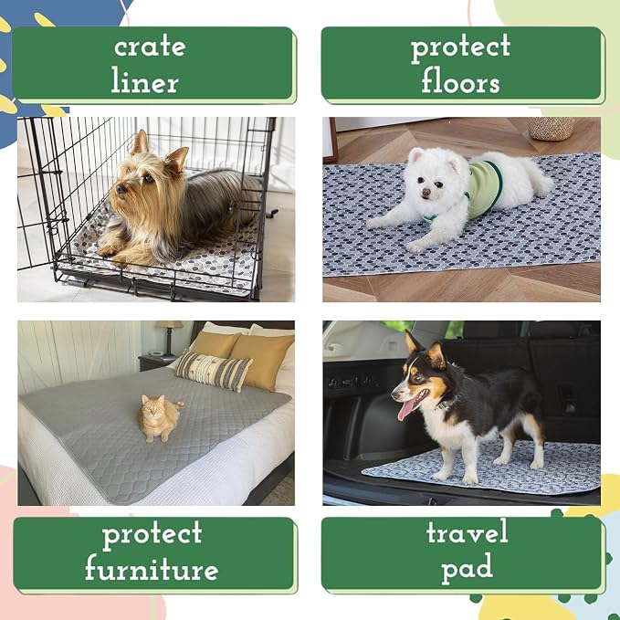 Caldwell's Pet Supply Co. 24x36 Potty Pads, Medium, Set of 2 | Washable, Reusable, Waterproof, For Dogs, Puppy Potty Mat - Image 2
