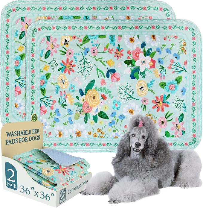 Homimp Washable Pee Pads for Dogs,2 Pack Spring Floral Reusable Puppy Pads Waterproof,Absorbent and Leakproof Dog Pee Pads,Non Slip Puppy Training Pads,Pet Mat for Floor,Whelping,Teal 36"x36" by HOMIMP
