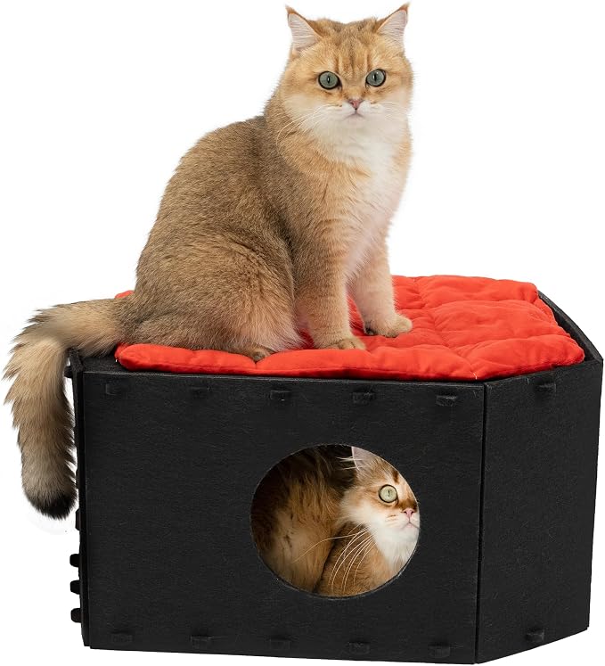 Cattasaurus Holiday Portable Cat House, Foldable Cat Beds for Indoor Cats, Enclosed Peekaboo Cave for Multiple Cats up to 26 lbs, Scratch Resistant Bunk Beds for Halloween, Christmas (Gothic Coffin) by Cattasaurus