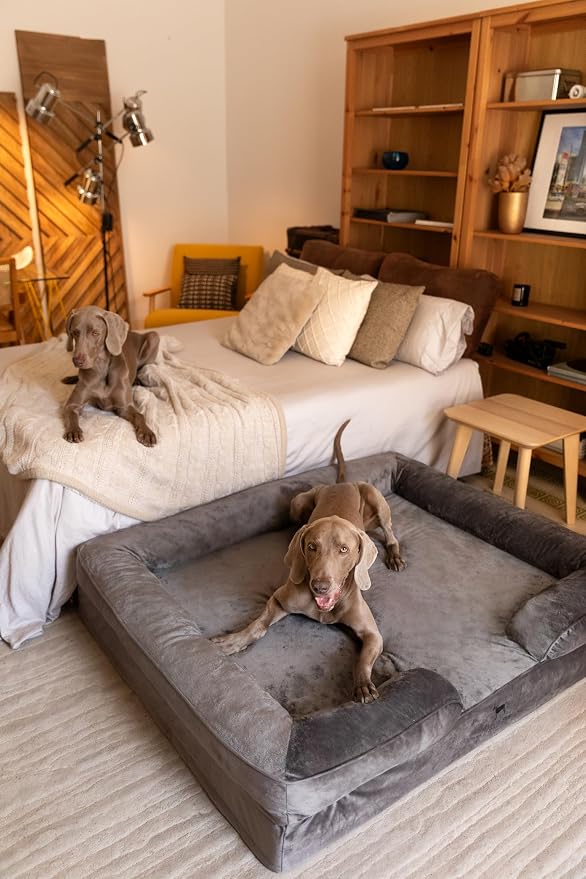 NOAH & PAW Giant Dog Bed XXL, 55x45x11 Inch, Orthopedic Dog Beds, Eggshell Memory Foam Infused with Cooling Gel, Inner Cover, Water Resistant, Machine Washable (Velvet Sofa Collection) - Image 8