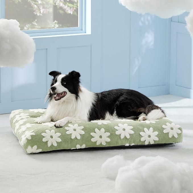 LE SURE Cute Aesthetic Dog Beds Large Sized Dog,Thick Pet Pillow 36x27 | Chopped Foam, Jacquard Modern Plush Crate Cushion Gift for Large Dog, Waterproof Washable Cover, Nonslip Bottom, Green - Image 6