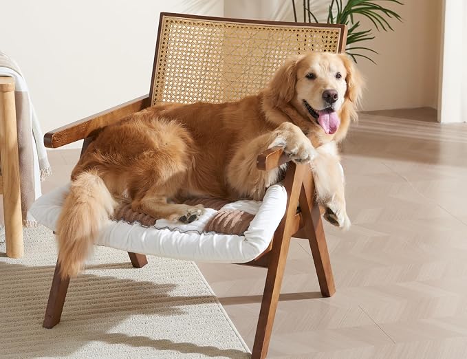 Couch Cushion Cover for dogs Sofa Cover Washable Pet Love Seat Couch Covers for Sofa Slipcovers Couch Protector Blanket for Dog Sofa Cushion Covers for Pet Washable Pad Dark Brown 70x70cm/27.6x27.6in - Image 6