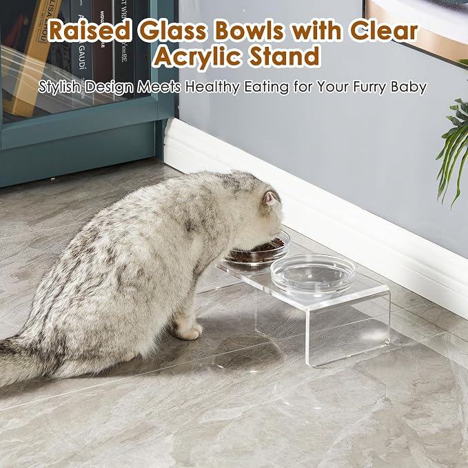 Feoyoho Elevated Acrylic Pet Bowl Stand – Raised Cat & Dog Bowls with 2 Glass & 2 Stainless Steel Bowls, Modern Clear Design, Non-Slip, Easy to Clean, Perfect for Small Pets, 3.75" Tall - Image 7