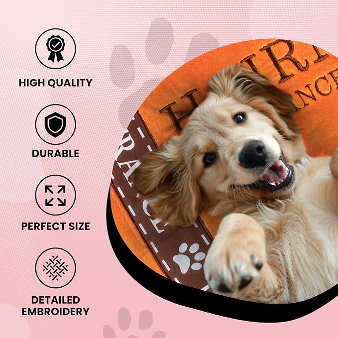 Dog Diggin Designs Parody Cloud 9 Bed Collection | Soft, Stylish, Comfortable, Eye-Catching Design | Machine Washable Removable Cover for Easy Cleaning - Image 4