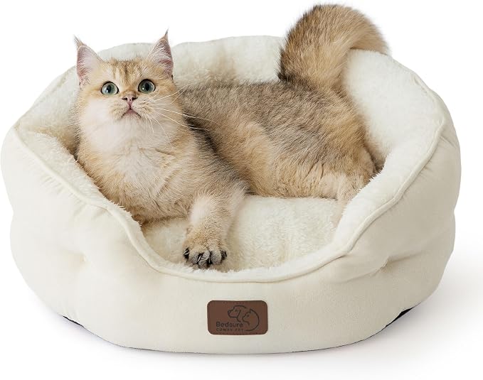 Bedsure Small Dog Bed Washable,Round Cat Beds for Indoor Cats,20in Ivory | Soft Plush Pet Bed,Dog Beds for Small Dogs for Puppy and Kittens,Anti-Slip Bottom,Easy to Clean by Unknown