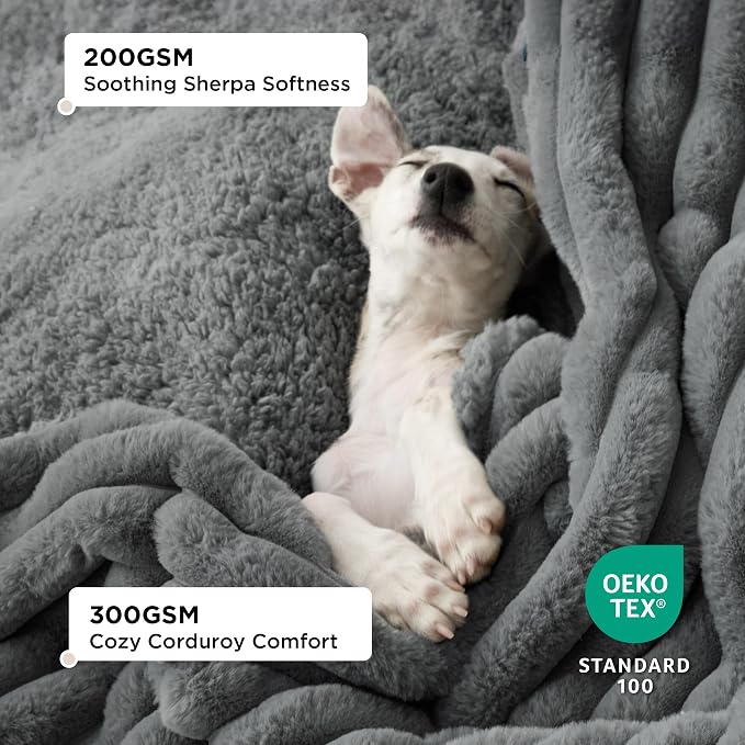 Bedsure ComfyFleece™ Waterproof Blanket for Bed, Queen（86"x108"） Warm Grey | Soft Plush Bed Couch Cover Corduroy Fleece for Furniture Protector, Cozy Calming Reversible Dog Blankets for Large Dogs Pet - Image 2