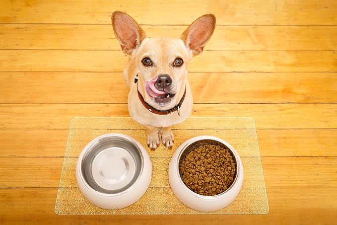 Clear Pet Bowl Mat - USA Made, Waterproof, 26 x 39 Inch, 2mm Thick Pebbled Vinyl, Safe Kennel Crate & Bird Cage Floor Mat - Image 4