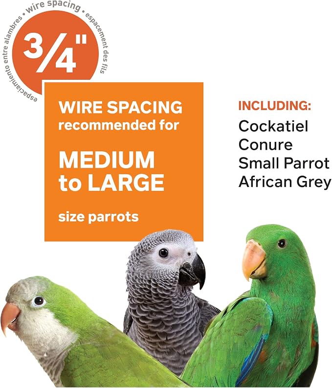 Prevue Pet Products Wrought Iron Select Bird Cage - Large Steel Cage with Rolling Stand, Seed Guards, and Playtop, Durable Design, Ideal for Conures and Medium Birds - Sage Green - Image 8