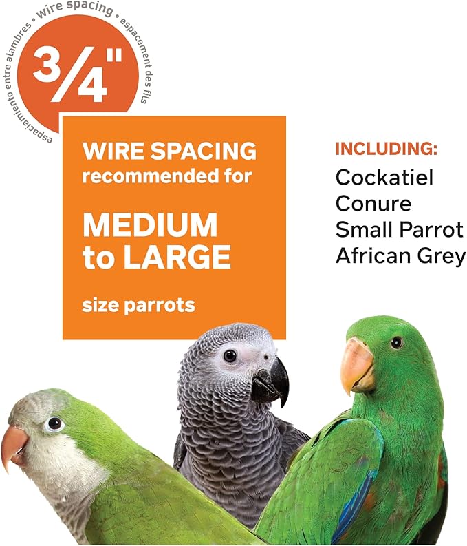 Prevue Pet Products Dome Top Bird Cage - Powder‑Coated Steel Cage with Wheels, Push Button Locks, Seed Guards and Perch, Ideal for Cockatiels, and All Small-Medium Sized Birds - Chalk White - Image 6