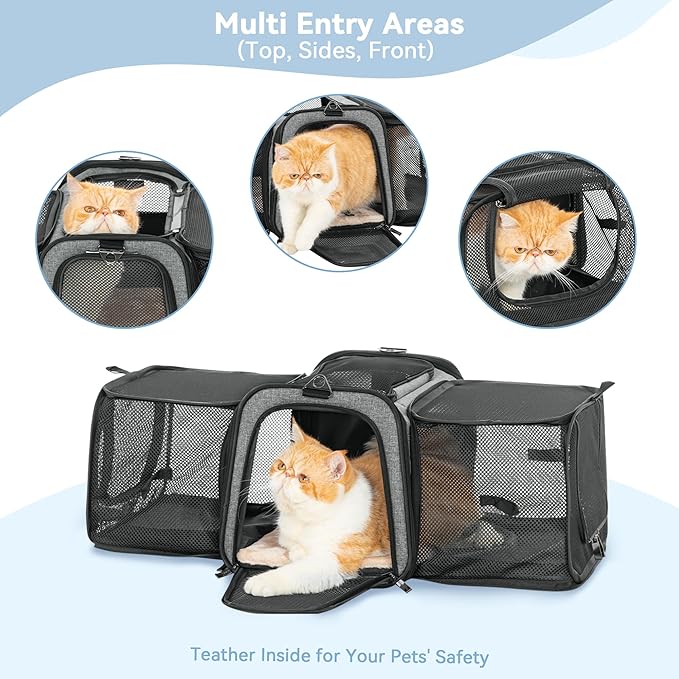 Petsfit 17" x 11" x 11" Airline-Approved Expandable Pet Carrier, 2X Square Expansion Reduces Pet Anxiety, Escape-Proof Self-Locking Zippers, 5 Easy-Access Entrances, for Cats & Small Dogs up to 15 lbs