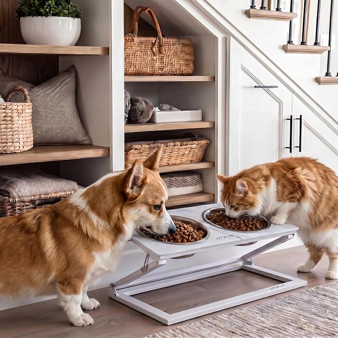 Elevated Dog Bowl, Adjustable Height and Tilt Angle Dog Bowl Stand | Precisely Adjust Height And Tilt Angle, Easy To Clean, Equipped With 2 Stainless Steel Food Bowls, Sturdy And Durable. - Image 5