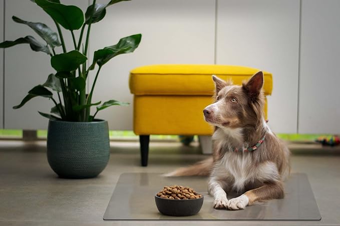 Clear Pet Bowl Mat, USA Made, Safe, Waterproof, 18 x 24 Inch, 2mm Thick Smooth Vinyl, Floor Protection, Dog Cage Mat, Under Aquarium Mat - Image 8