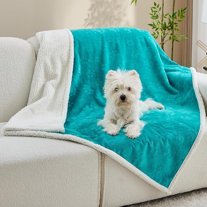 Qeils Pet Blankets for Cats - Waterproof Cat Blanket Washable - Sherpa Fleece Puppy Blanket, Soft Plush Reversible Throw Protector for Bed Couch Car Sofa, 25"X30", Teal by Qeils