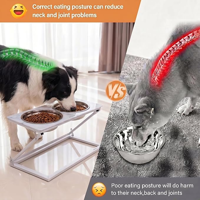 Elevated Dog Bowl, Adjustable Height and Tilt Angle Dog Bowl Stand | Precisely Adjust Height And Tilt Angle, Easy To Clean, Equipped With 2 Stainless Steel Food Bowls, Sturdy And Durable. - Image 4