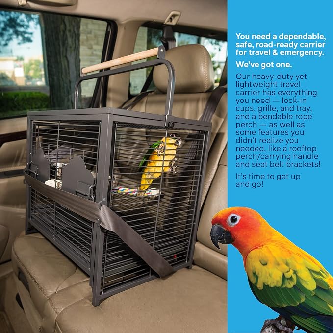 Prevue Pet Products Playtop Travel Carrier - Outdoor Travel Bird Cage for Small Parrots & Birds, Front Facing Door, Rope Perch, Lightweight & Portable, Easy Transport - Black - Image 8