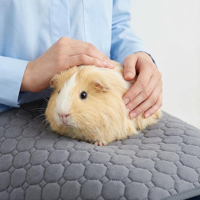 Guinea Pig Cage Liners,Washable Guinea Pig Bedding for C&C Cage 2x1 2 Pack, Reusable & Anti Slip & Waterproof, Absorbent Guinea Pig Pee Pad for Small Animal, Rabbit, Bunny, Chinchilla - Image 5