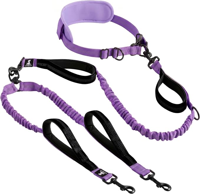 SparklyPets - Hands Free Dual Dog Leash for Medium and Large Female Dogs - Padded Handles, Reflective Stitches, No Pull, Tangle Free - Walking, Hiking, Jogging, Canicross Waist Leash - Purple by SparklyPets