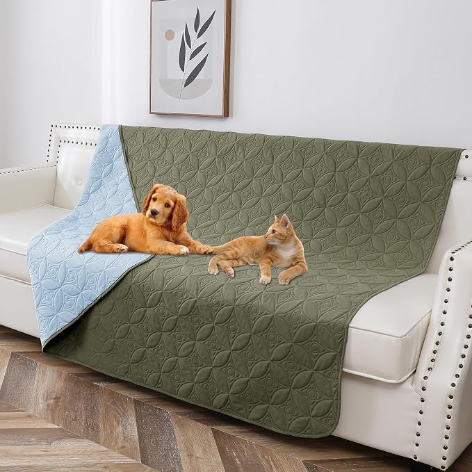 Waterproof Couch Cover for Dogs - Washable Pets Furniture Protector | TPU Leak-Proof Liner, Lightweight & Reversible, Fits Chair, Sofa, Bed, 52" x 82" , Lightblue/Green by TuffeelHome