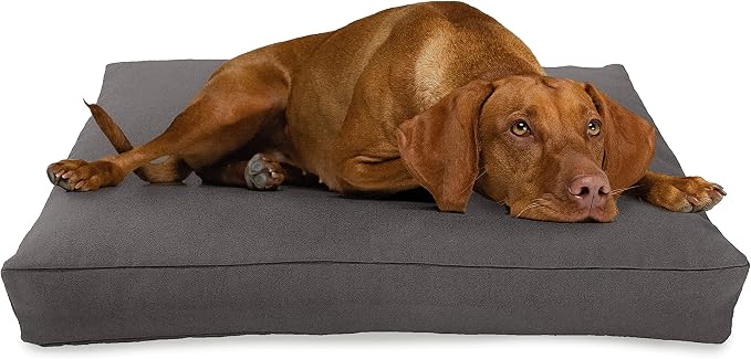 Small - 30 x 20 x 4 - Shadow Gray Premium Organic Hemp Dog Bed - CertiPUR Fill - Removeable Cover by BeanProducts