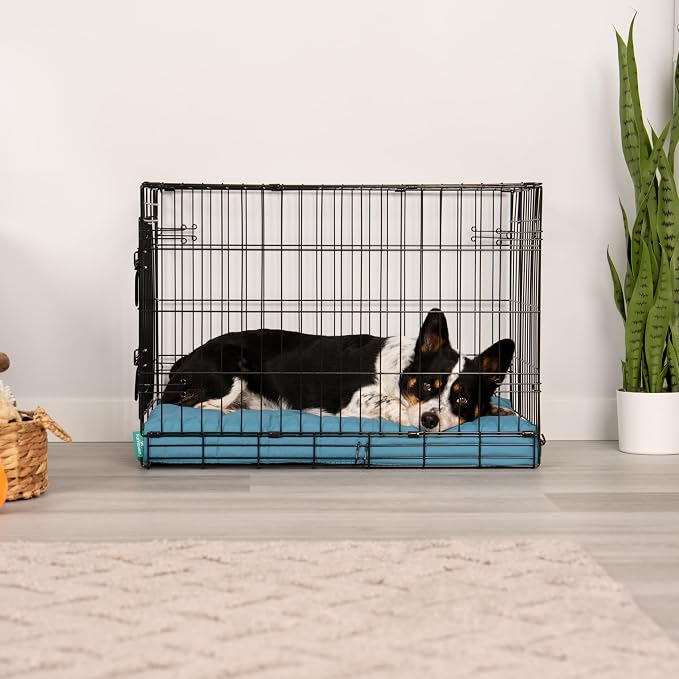 Furhaven Orthopedic Dog Bed – Puffy Quilted Foam Mattress with Removable Washable Cover, Soft & Supportive for Kennels & Crates - Medium, Lagoon - Image 2