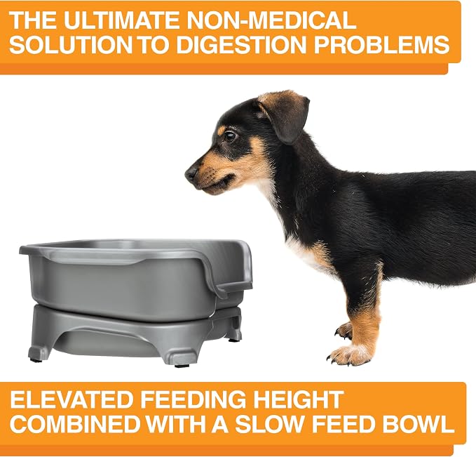 Neater Feeder Express Mess Proof Dog Bowls Elevated for Small Breed – Made in USA – No Spill Raised Slow Feeder Elevated Dog Bowl Stand, Stainless Steel Food and Water Bowl Set, Grey - Image 6