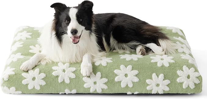 LE SURE Cute Aesthetic Dog Beds Large Sized Dog,Thick Pet Pillow 36x27 | Chopped Foam, Jacquard Modern Plush Crate Cushion Gift for Large Dog, Waterproof Washable Cover, Nonslip Bottom, Green by Lesure