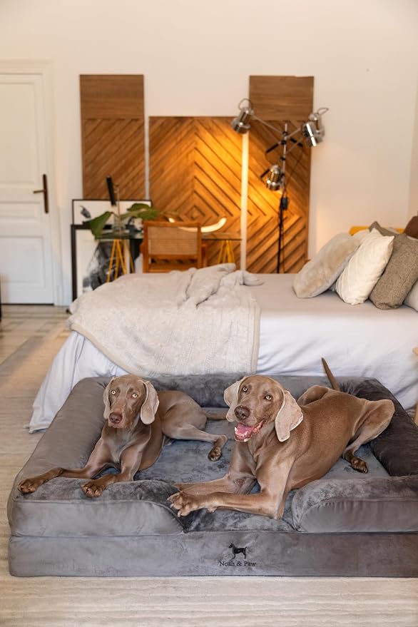 NOAH & PAW Giant Dog Bed XXL, 55x45x11 Inch, Orthopedic Dog Beds, Eggshell Memory Foam Infused with Cooling Gel, Inner Cover, Water Resistant, Machine Washable (Velvet Sofa Collection) - Image 6
