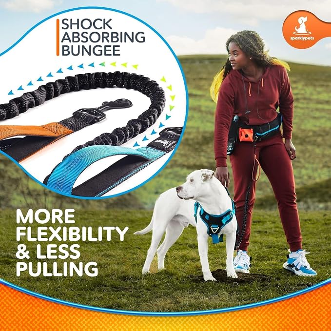 SparklyPets Double Bungee Waist 2 Dog Leash with Back Brace – Dual Dog Leash for Medium/Large Breeds – Running Belt Fanny Pack with Phone, Waste, Treat, and Bottle Pockets - Image 6