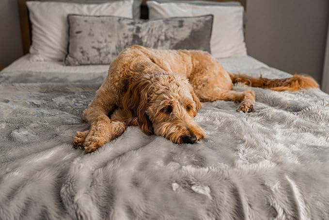 PupProtector Waterproof Throw Blanket for Dogs and Cats, Pet Blanket Cover for Couches, Sofas, Beds, Car Seats, Furniture, Calming Soft Faux Fur, Short Grey, Large (80" L x 62" W) | Waterproof, machine washable — protects couches, beds & car seats - Image 3
