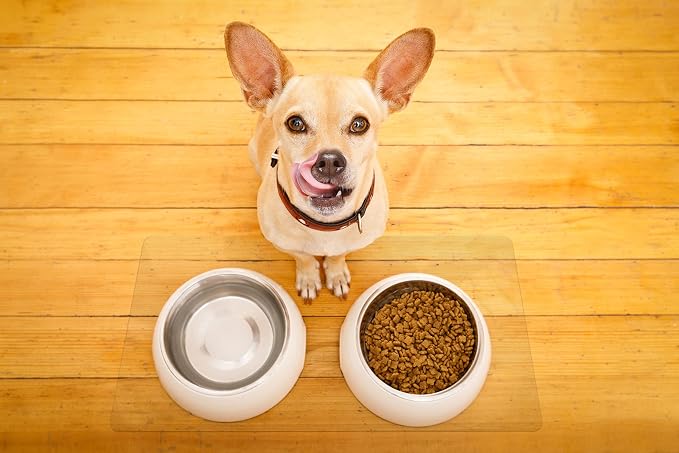 Clear Pet Bowl Mat, USA Made, Safe, Waterproof, 28 x 42 Inch, 2mm Thick Smooth Vinyl, Clear Pet Crate Mat, Clear Pets Mat, Best Floor Protection, Clear Kittylitter Mat - Image 4