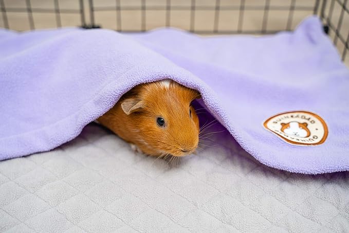 GuineaDad Original Reusable Cage Liner – Purple Fleece Bedding with Burrowing Pocket – Extra Absorbent Core & Waterproof Bottom – Fits C&C 2x4 Guinea Pig Cages – Small Animal Supplies - Image 5