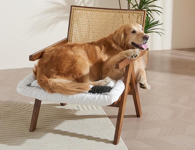 Couch Cushion Cover for dogs Sofa Cover Washable Pet Love Seat Couch Covers for Sofa Slipcovers Couch Protector Blanket for Dogs Sofa Cushion Covers for Pets Washable Pad Black 70x70cm/27.6x27.6in - Image 6